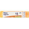 BOIRON Srl Ribes Nigrum 15 Ch Tubo 2020