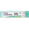 BOIRON Srl Thuya Occidentalis 200 Ch Granuli Multidose Boiron