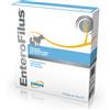 DRN Srl ENTEROFILUS Mang.Sempl.12x10ml