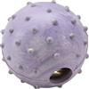 Gimborn Palla di Gomma Colorata con Campanello Ø cm 6,5