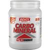WHY SPORT Carbo Mineral Arancia Integratore Carboidrati