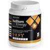 Named Sport Linea Integrazione Sportiva IsoNam Energy Gusto Limone 480 g