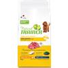 NovaFood Trainer Natural Trainer Adult Mini Small Toy Manzo e Riso 7 Kg
