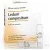 GUNA Ledum Compositum Heel Soluzione Iniettabile Medicinale Omeopatico 10 Fiale