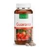 Sanct Bernhard, Guarana, 250Â Cpr.