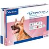 Virbac Effipro duo cane spot-on 268 mg 20-40 kg 4 pipette