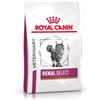 Royal Canin Veterinary Renal Select per gatto 4 kg