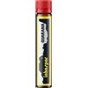 INKOSPOR X-TREME GUARANA' 25 ML