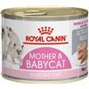 ROYAL CANIN GATTO BABYCAT DA 195 GR IN LATTINA