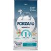 Sanypet Forza 10 Medium Diet Al Pesce 12 kg Per Cani