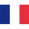 Bandiera FRANCIA cm 20 X 30