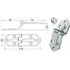 Cerniera inox mm 118 x 40