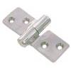 Cerniera inox mm 100 x 50 sfilabile destra