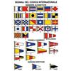 Tabella adesiva codice internazionale cm 11x17