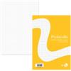 BM Foglio protocollo - A4 - 5 mm - 60 gr - BM - conf. 20 pezzi (unità vendita 1 pz.)