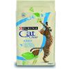 Purina Cat Chow PURINA CHOW CAT GATTO ADULT AL SALMONE DA 10 KG