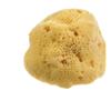 BEAUTYTIME INTERNATIONAL Srl Spugna Naturale Fine Dama Beautytime 1 Pezzo
