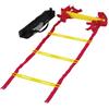 Schiavi Sport Scala Veloce con 12 pioli, dim 6x0,5 mt