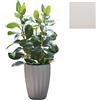 SLIDE vaso STAR H 59 cm - SDSTA045T