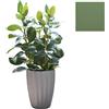 SLIDE vaso STAR H 59 cm - SDSTA045V