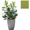 SLIDE vaso STAR H 59 cm - SDSTA045R