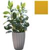 SLIDE vaso STAR H 59 cm - SDSTA045B
