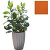SLIDE vaso STAR H 59 cm - SDSTA045C