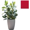SLIDE vaso STAR H 59 cm - SDSTA045D