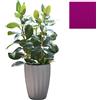 SLIDE vaso STAR H 59 cm - SDSTA045U