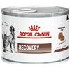 ROYAL CANINE ROYAL CANIN DOG&CAT RECOVERY