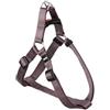 KARLIE PETTORINA ASP MARRONE 35-60CM 20MM