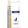 ROYAL CANINE ROYAL CANIN CAT RENAL