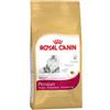 ROYAL CANINE ROYAL CANIN CAT PERSIAN