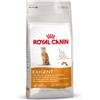 ROYAL CANINE ROYAL CANIN CAT EXIGENT PROTEIN 42