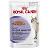 ROYAL CANINE ROYAL CANIN Cat BST Digestive Sens Gravy