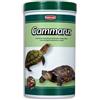 PADOVAN GAMMARUS