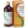 CANDIOLI VITAMINICO LIQUIDO 200ML/6