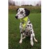 TRIXIE BANDANA RIFLETTENTE DI SICUREZZA L-XL