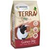 VADIGRAN TERRA Guinea Pig 1KG/6