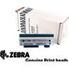 Zebra Testina di stampa da 203 dpi per ZD420t, ZD620t