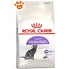 Royal Canin Cat Regular Sterilised - Sacco Da 2 Kg