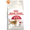 Royal Canin Cat Fit 32 - Sacco da 2 kg