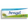 Boiron Arnigel Gel 120 g