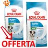 Royal Canin Dog Mini Puppy - Offerta [PREZZO A CONFEZIONE] Quantità Minima 2, Sacco Da 8 Kg