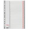 ESSELTE Separatore numerico 1-31 - PP - A4 - grigio - Esselte (unità vendita 1 pz.)