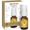 DR.GIORGINI SER-VIS Srl ARANCIO QUINTESSENZA SPRAY GIORGINI