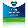 VICKS VAPORUB UNGUENTO PER USO INALATORIO 50G - VICKS - 021625064