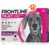 Frontline Tri-Act Cani 20-40 kg - 6 pipette