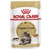 Royal Canin Breed Royal Canin Maine Coon Adult cibo umido per gatto 2 scatole (24 x 85 g)