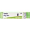 BOIRON Ribes Nigrum 5Ch Granuli Multidose Boiron